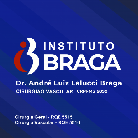ANDRÉ LUIZ LALUCCI BRAGA