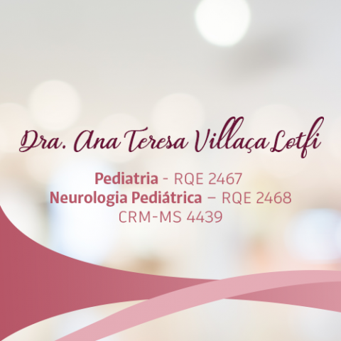 ANA TERESA VILLAÇA LOTFI