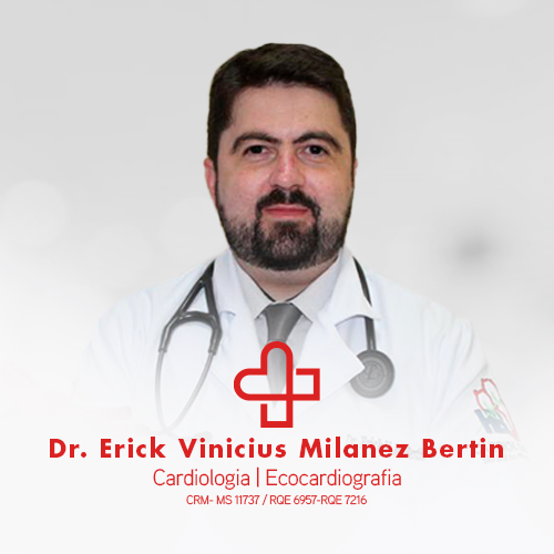 ERICK VINICIUS MILANEZ BERTIN