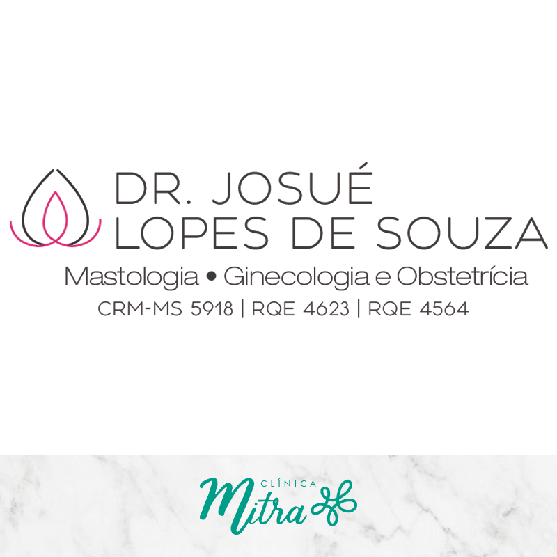 JOSUÉ LOPES DE SOUZA