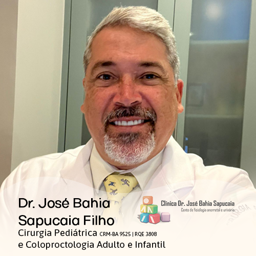 JOSÉ BAHIA SAPUCAIA FILHO