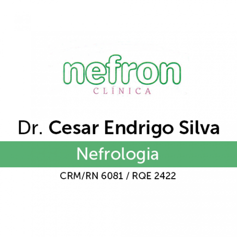 CESAR ENDRIGO SILVA