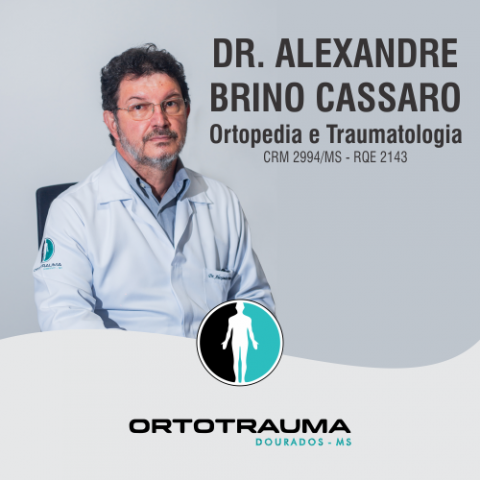 ALEXANDRE BRINO CASSARO