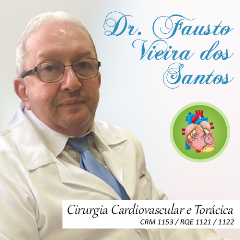 FAUSTO VIEIRA DOS SANTOS
