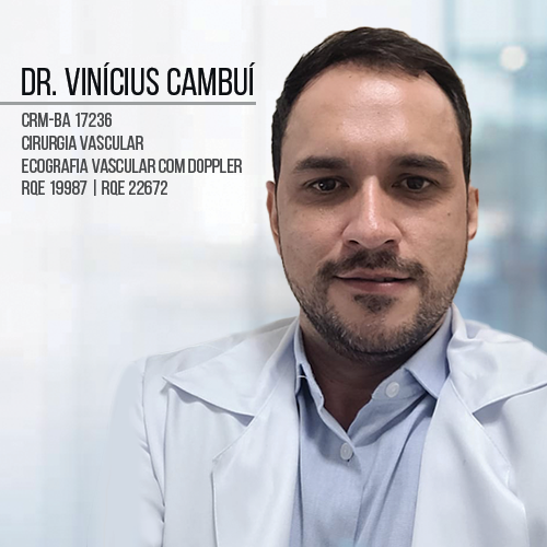 VINICIUS CAMBUÍ
