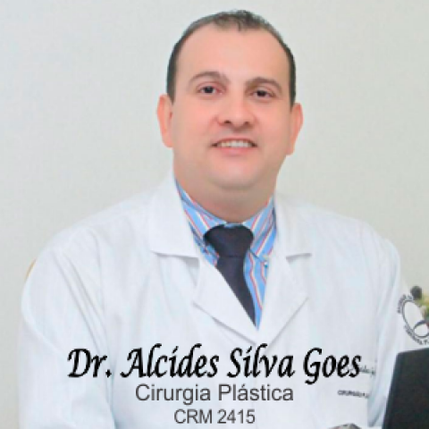 ALCIDES SILVA GOES
