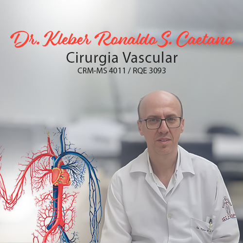 KLEBER RONALDO S. CAETANO