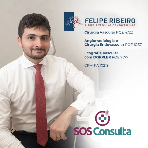 FELIPE SOARES RIBEIRO