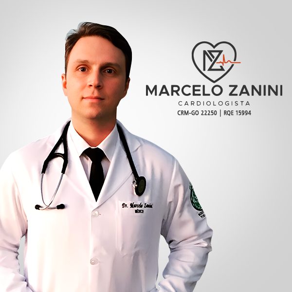 MARCELO ZANINI DE OLIVEIRA E SILVA