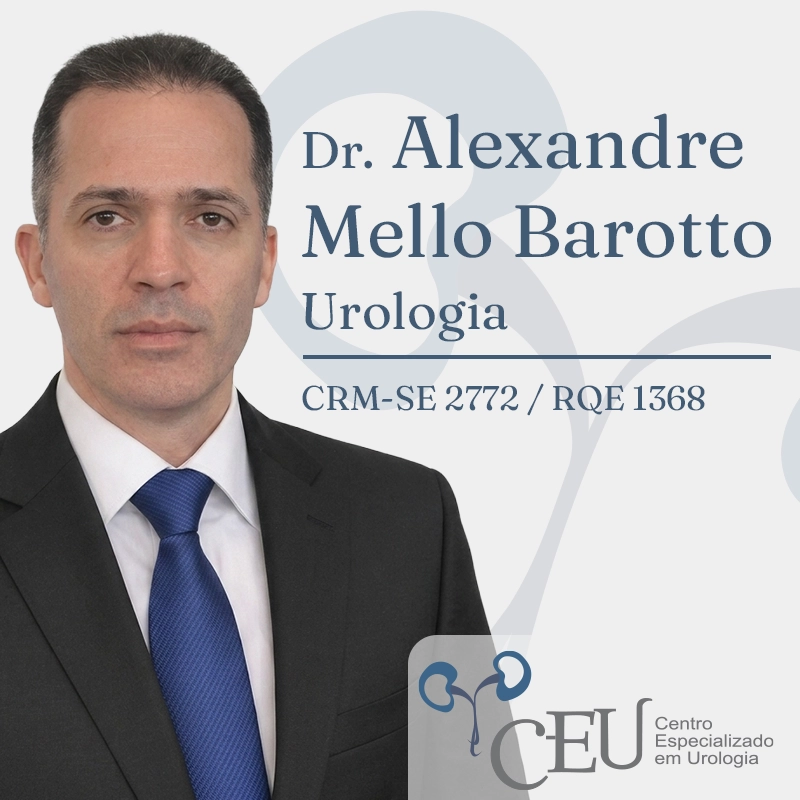 ALEXANDRE MELLO BAROTTO