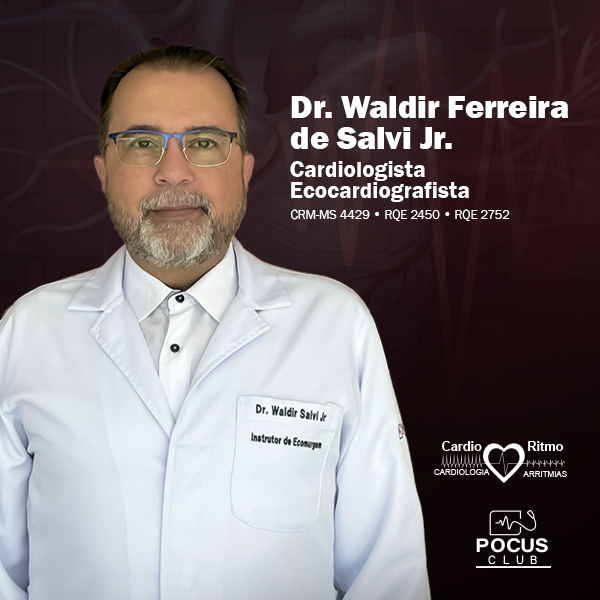 WALDIR FERREIRA DE SALVI JR.