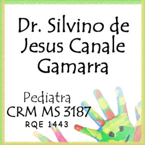 SILVINO DE JESUS CANALE GAMARRA