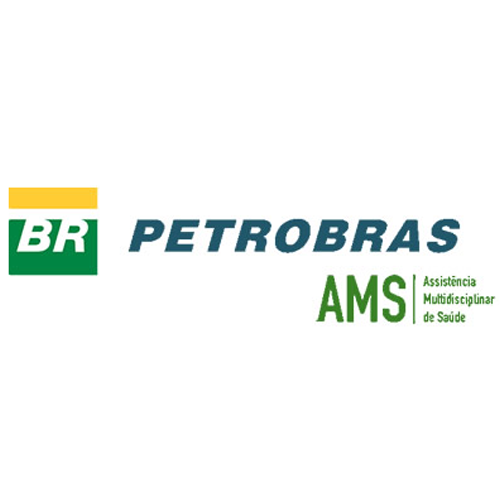 Petrobras - AMS