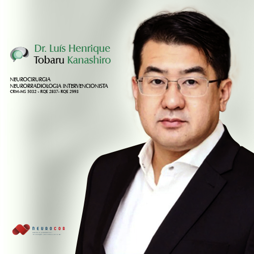 LUIS HENRIQUE TOBARU KANASHIRO
