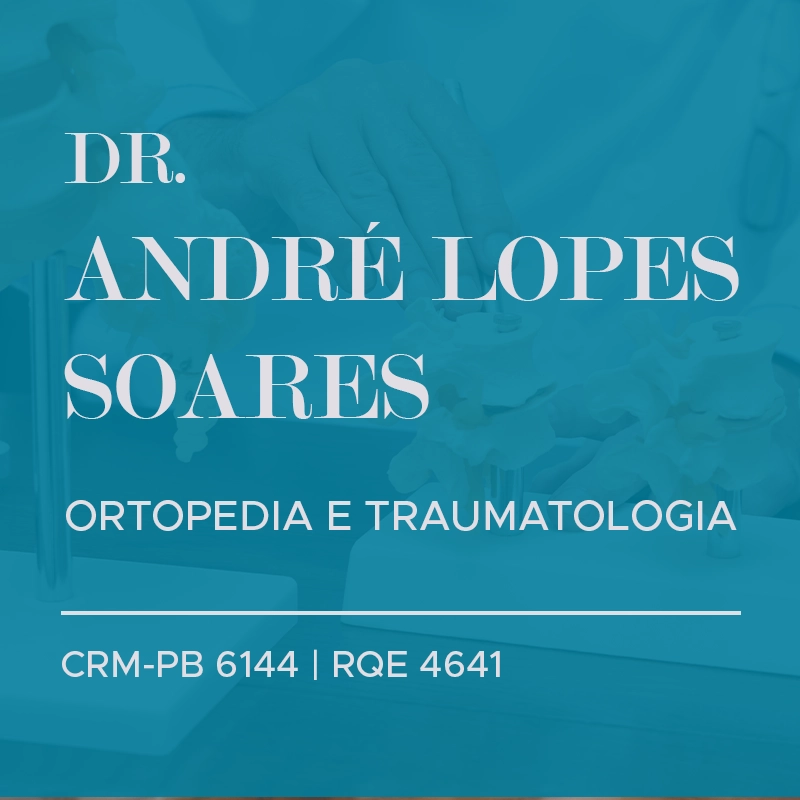 ANDRÉ LOPES SOARES