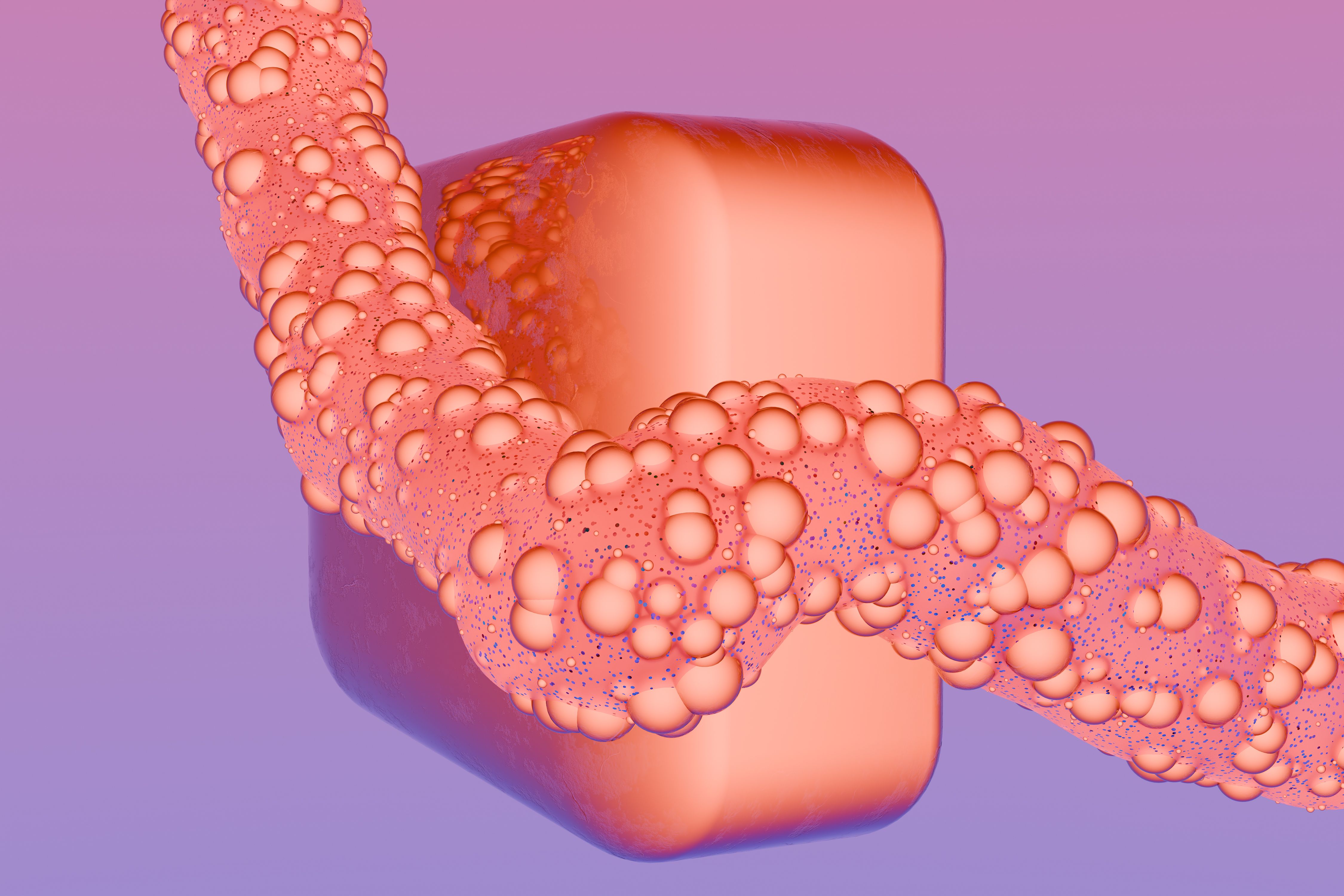 HPV